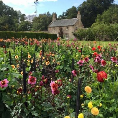 丰禾棋牌下载手机版