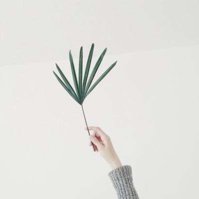 kaiyun·体育下载手机版